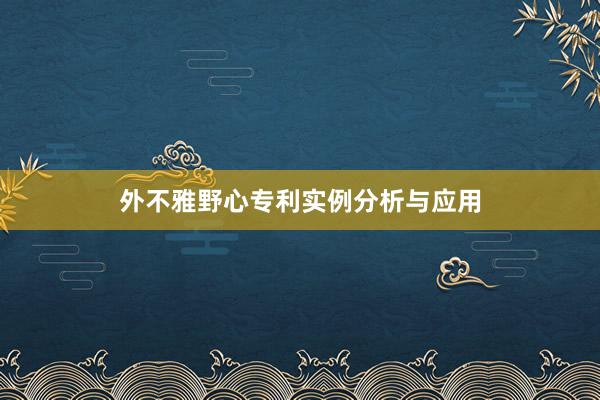 外不雅野心专利实例分析与应用